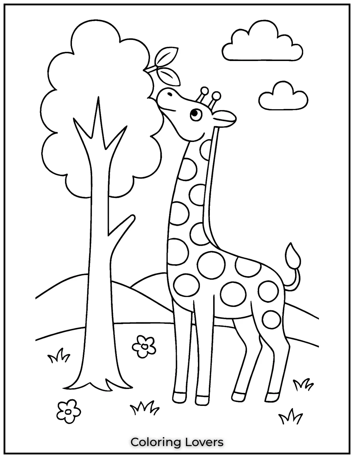 A giraffe stretches to reach the tastiest leaves at the top of the tree.