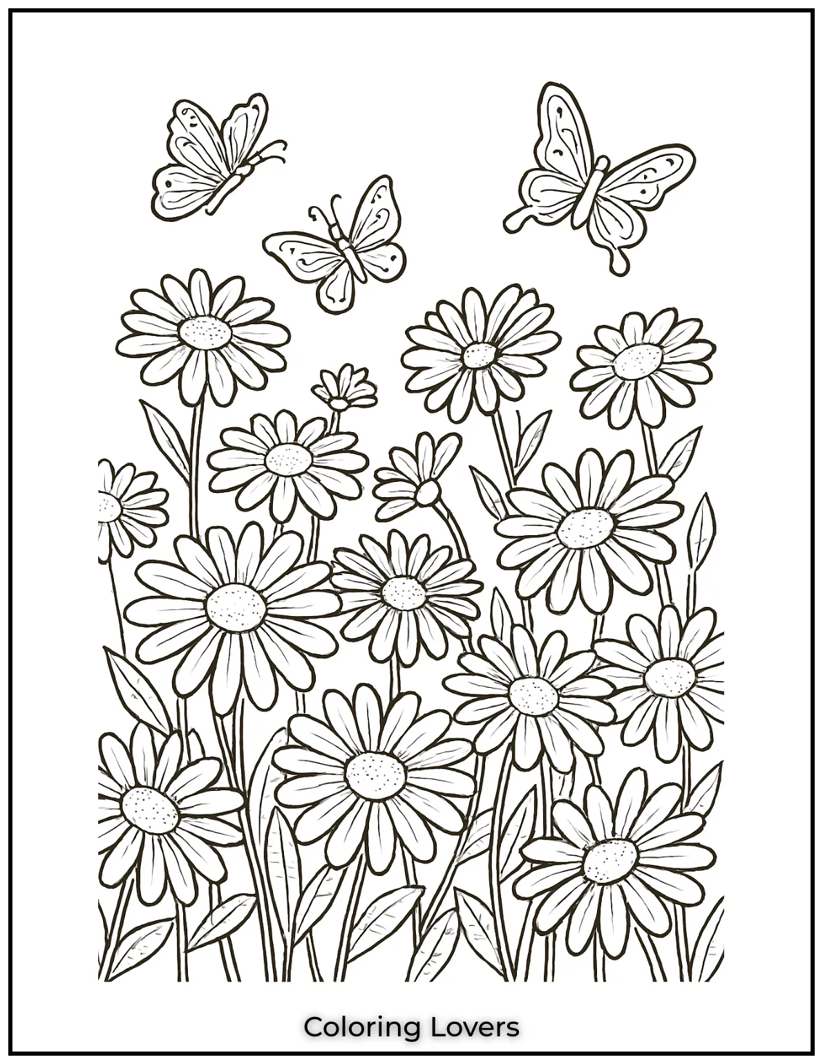 A lovely field of daisies with butterflies fluttering by.