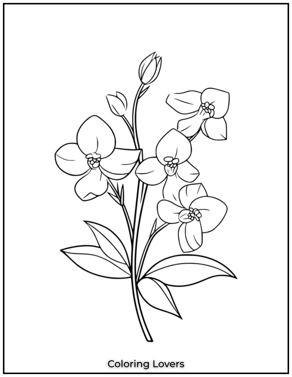 These adorable orchids bloom with joy and charm. Their playful faces make me smile