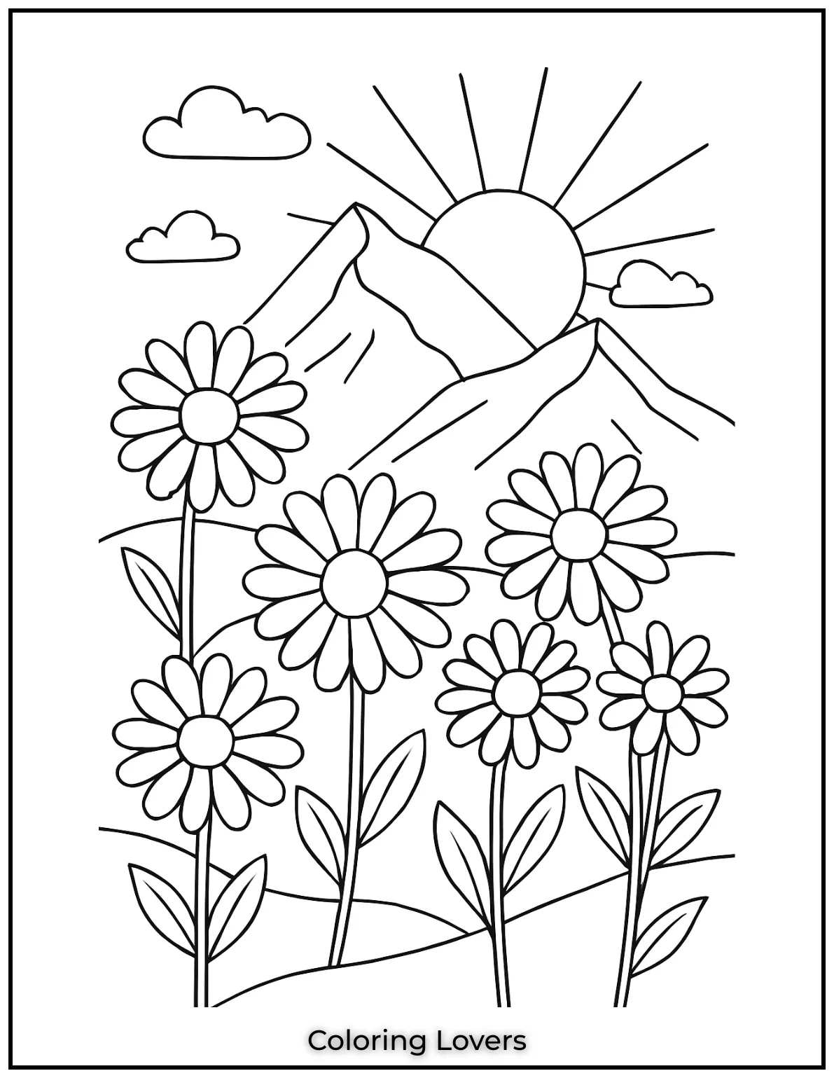 These daisies are enjoying the sunlight in a beautiful mountain scene.