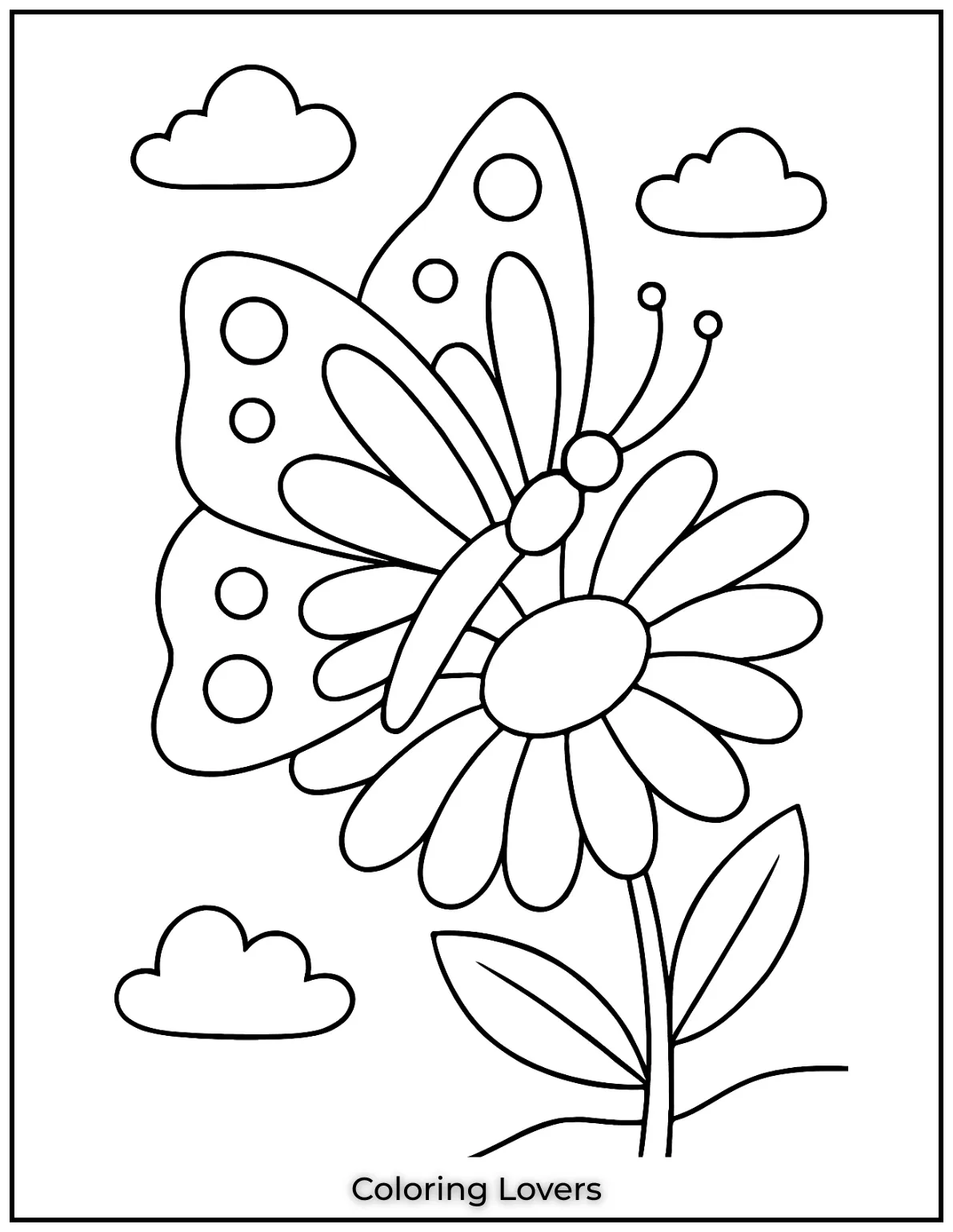 This butterfly resting on a daisy brings together the peacefulness of nature.