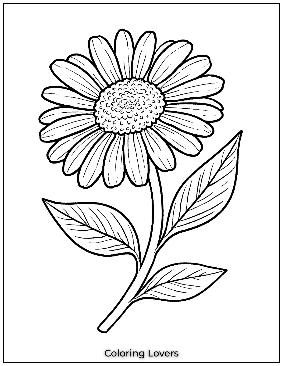 This daisy is drawn with extra detail to capture the beauty of the flower.