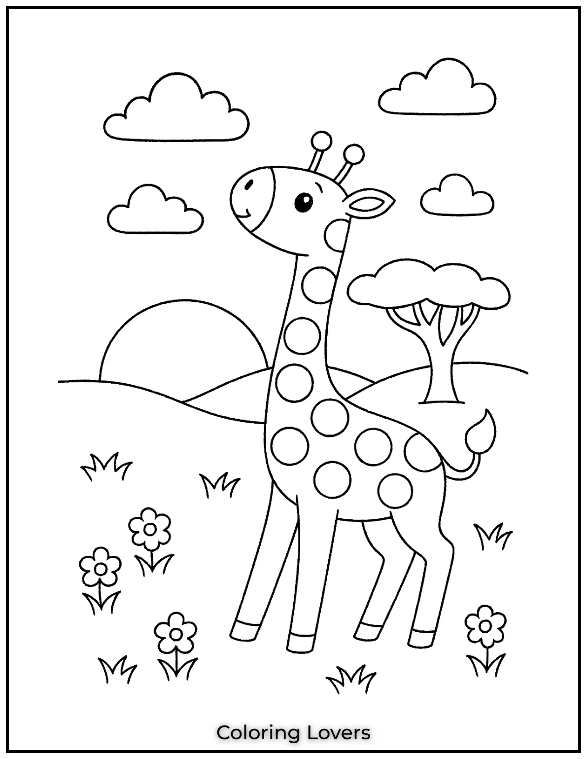 This young giraffe explores the savannah at sunset.