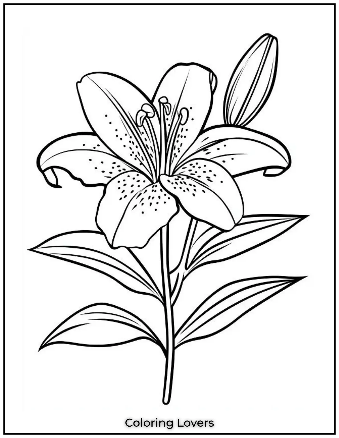 With swirly petals and a happy face this lily is full of character and charm