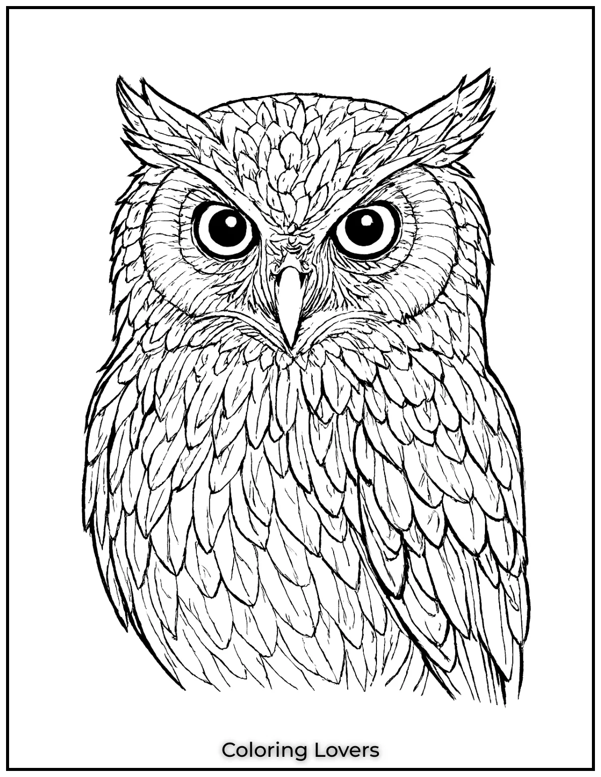 Superior Owl Coloring Pages for Kids who love Coloring! 33 I focused on every feather to make this owls close up as lifelike as possible. Its a stunning owl coloring page for realism enthusiasts