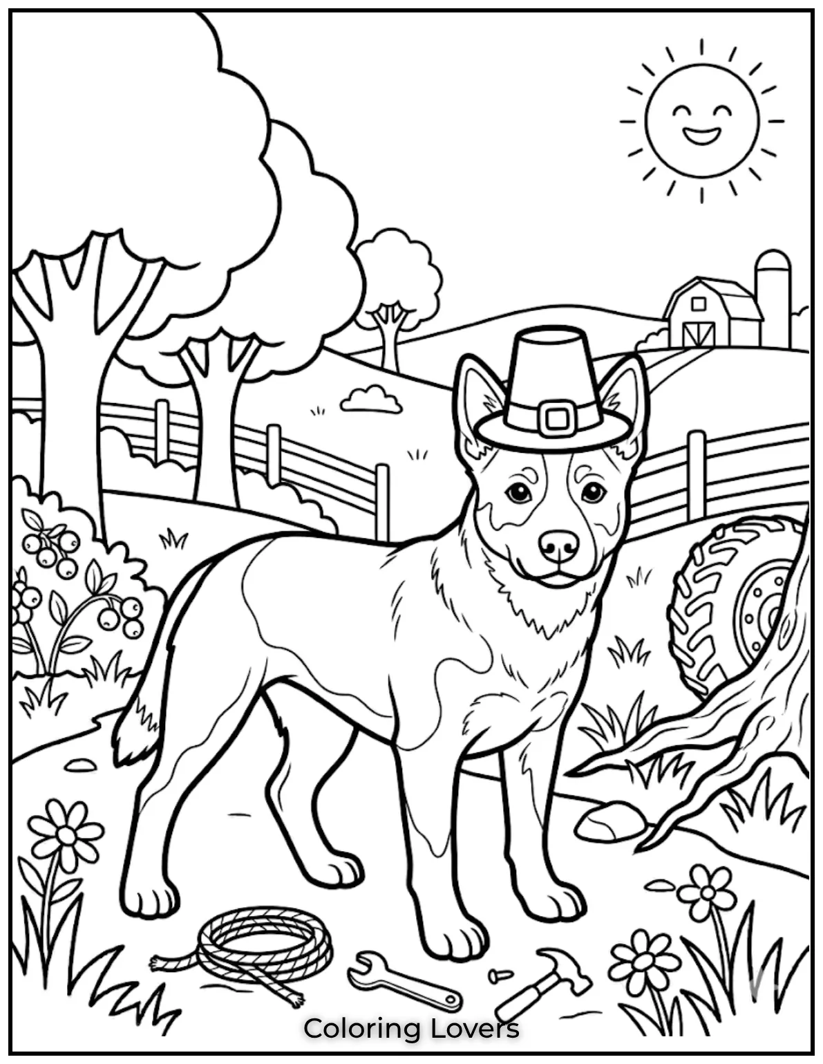 Strong and alert, this Australian Cattle Dog is ready to work.