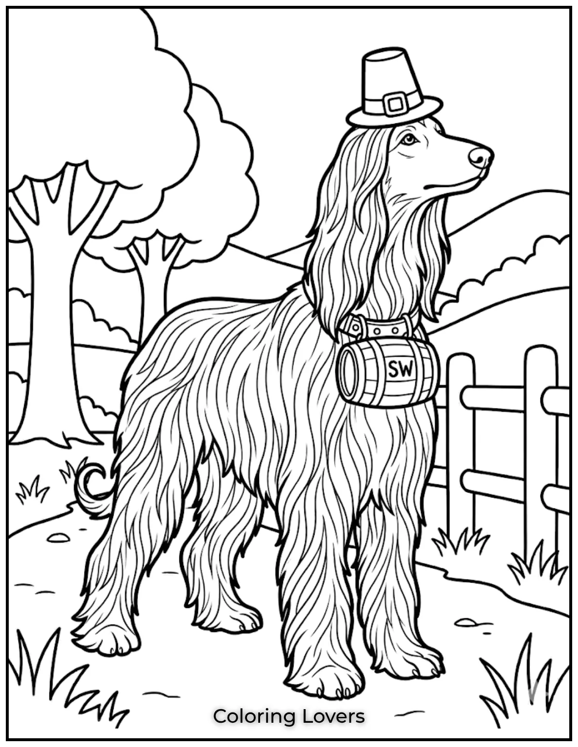 That flowing fur on the Afghan Hound is just amazing, right?