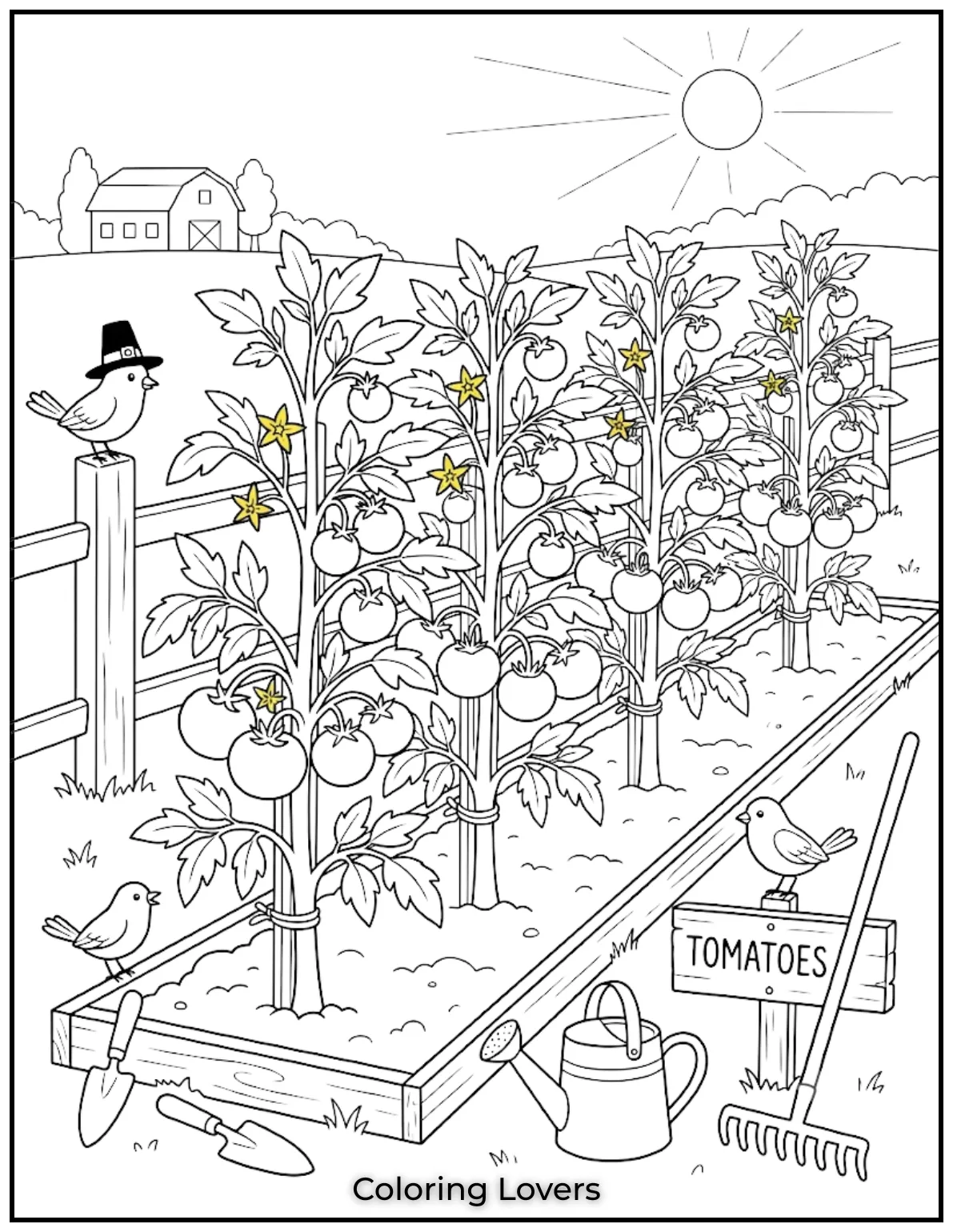Amazing Tomato Coloring Pages Packed with Fun and Smiles 13 Row Tomato Coloring Page